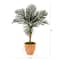 3.5ft. Golden Cane Palm Tree in Terra-Cotta Planter
